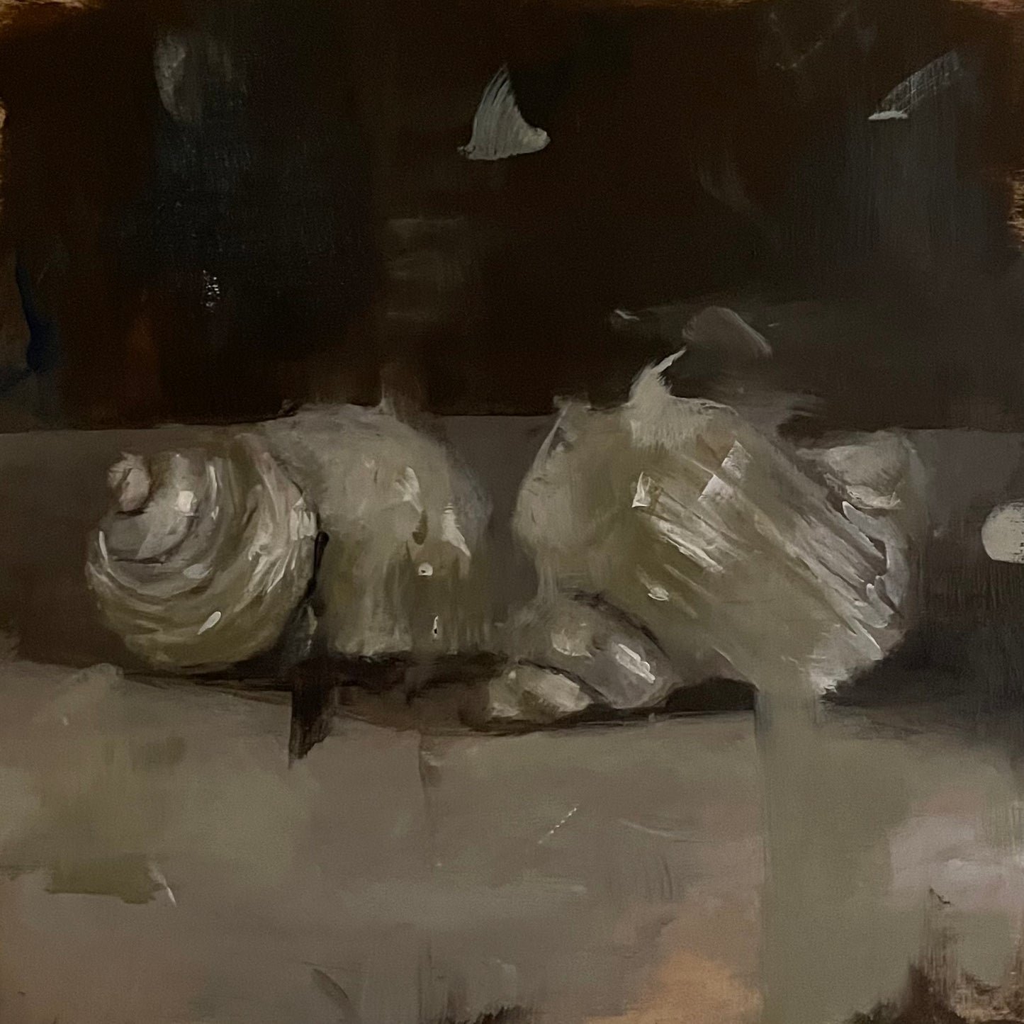 Shells