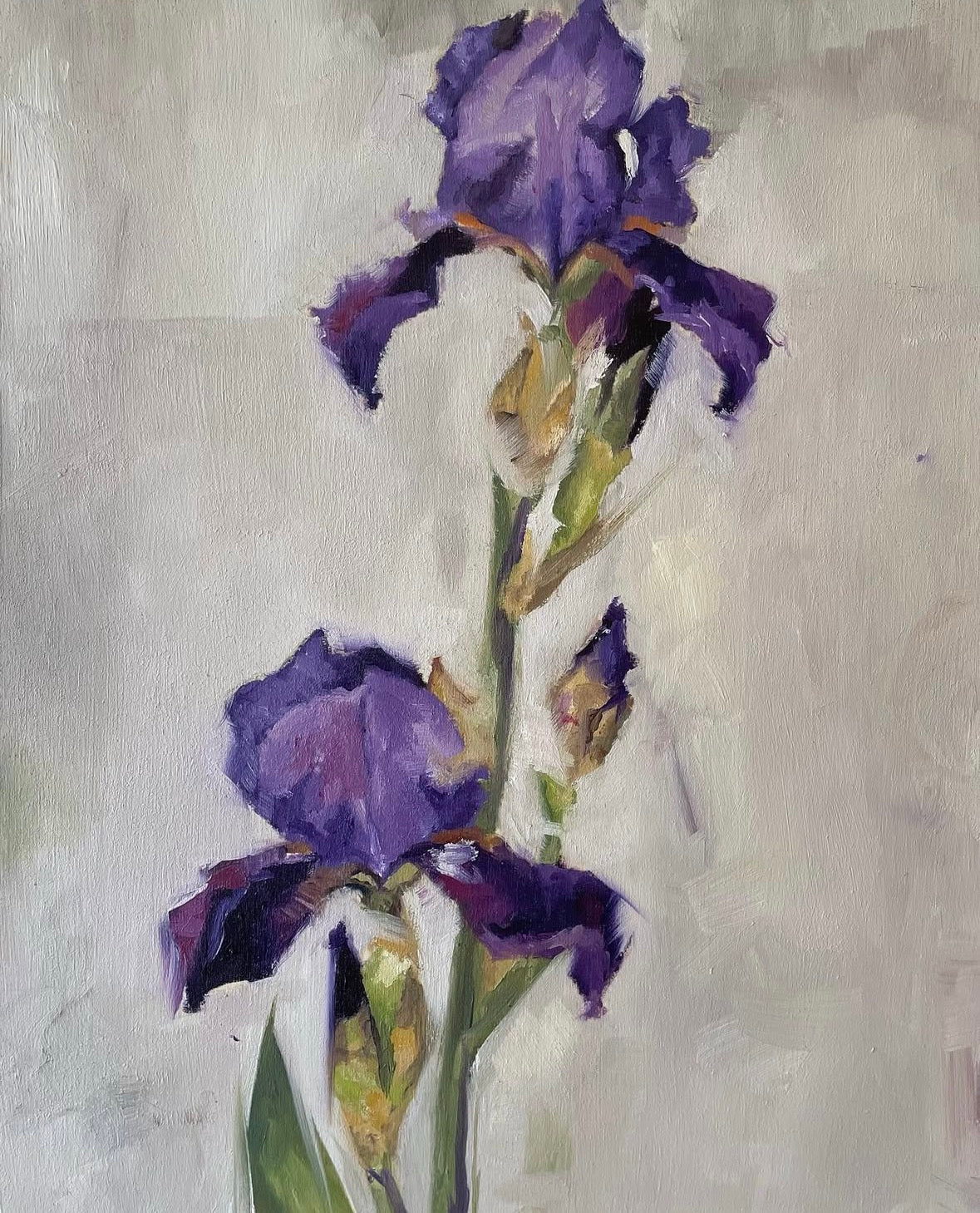 Irises